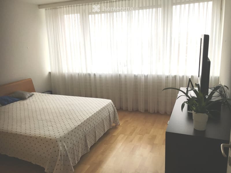 Bright bedroom with wooden flooring, a bed with a patterned bedspread, a nightstand with a television, and a potted plant on a side table.