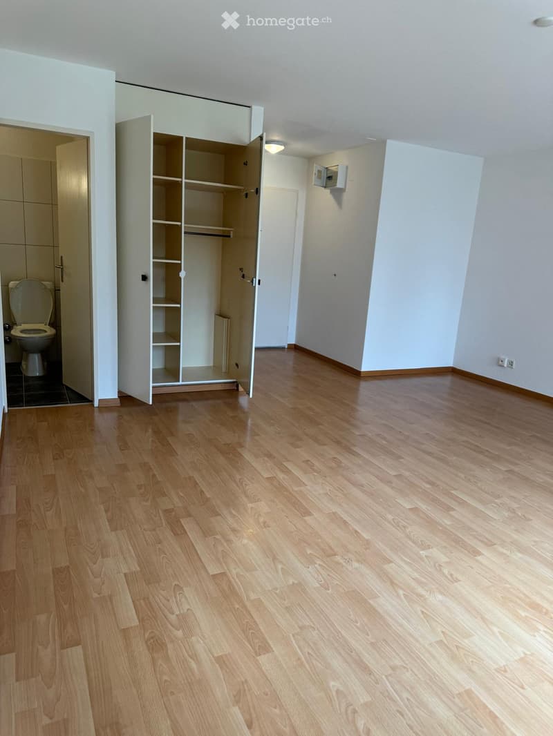 Empty room with wooden flooring, white walls, and an open closet with empty shelves. A bathroom is visible to the left with a toilet and a dark-tiled floor.