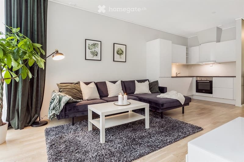 Modern living room with a dark grey sectional sofa, white coffee table, floor lamp, and a small kitchen area with white cabinets and an oven. The room features a shaggy grey rug, framed artwork, and a potted plant near the window.