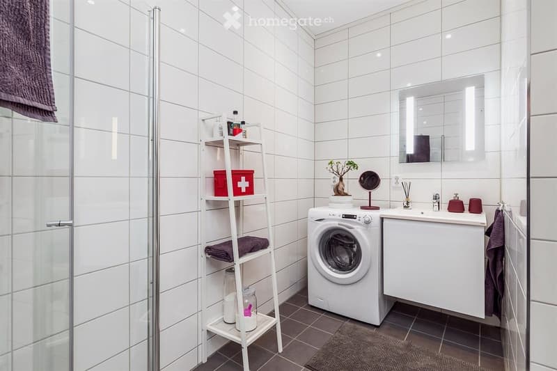 Modern bathroom with white tiled walls, a white sink with a mirror, a washing machine, a small shelf with towels and toiletries, and a small plant on the sink counter.