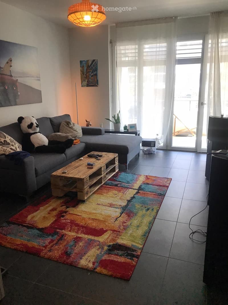Modern living room with a grey sectional sofa, wooden coffee table, colorful rug, potted plant, and television. Features large windows with sheer curtains and a balcony door leading outside.
