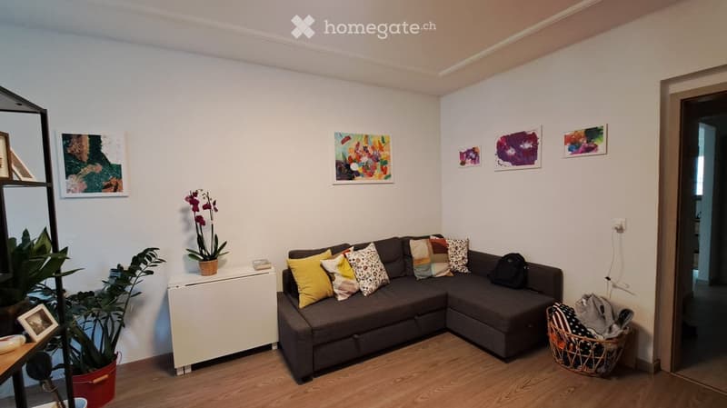 A modern living room with a grey sectional sofa adorned with colorful pillows, a small white side table with a potted orchid, a large mirror, and several picture frames on the walls. The room features wooden flooring and a wicker basket with folded clothe