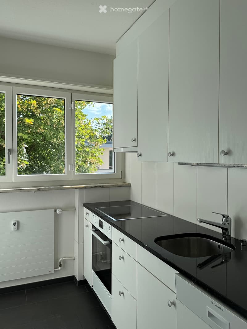Modern kitchen with white cabinets, black countertops, stainless steel sink, and built-in oven. Large windows provide natural light.