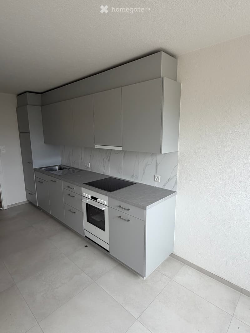 Modern kitchen with grey cabinets, marble backsplash, induction cooktop, oven, and sink.