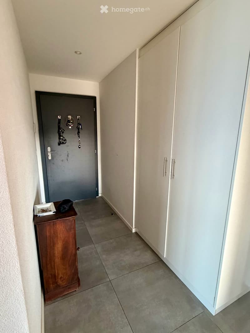 Reprise de bail - 2.5 pièces neuf 65.9m2 + terrasse 18.4m2 + cave + Place de parc, VUE LAC (15)