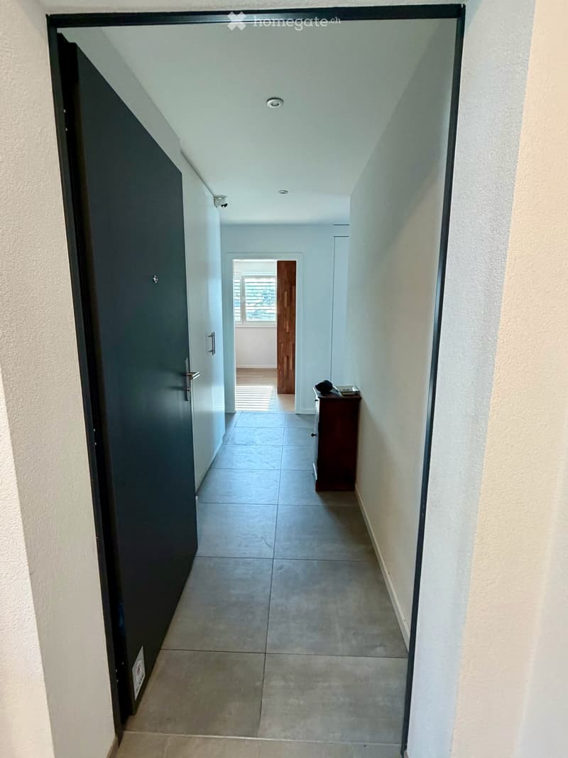 Reprise de bail - 2.5 pièces neuf 65.9m2 + terrasse 18.4m2 + cave + Place de parc, VUE LAC (13)