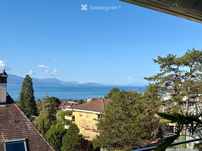 Reprise de bail - 2.5 pièces neuf 65.9m2 + terrasse 18.4m2 + cave + Place de parc, VUE LAC (14)