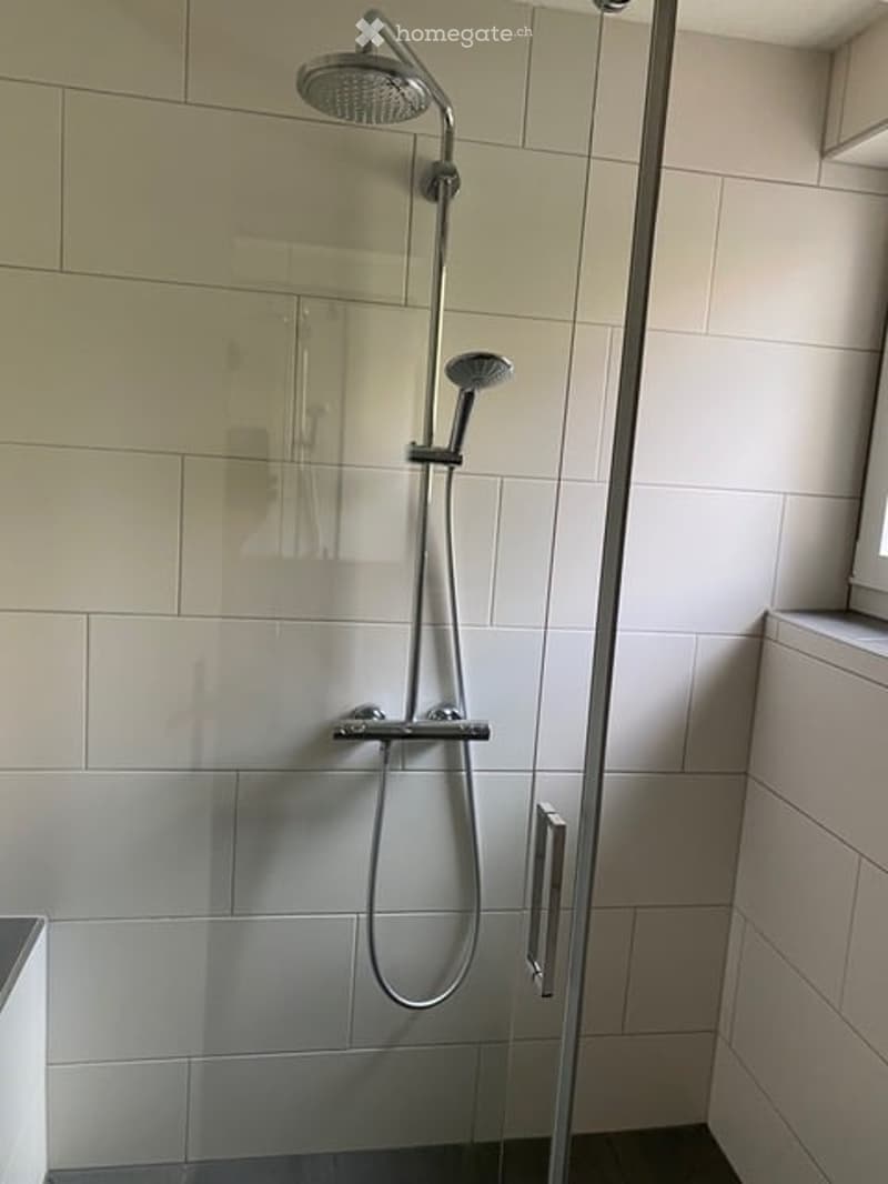 Modern bathroom shower area with a glass enclosure, a handheld showerhead, and a fixed overhead showerhead.
