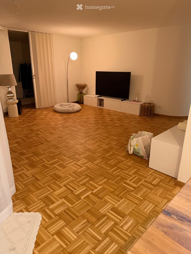 open floor plan, wooden parquet flooring, living room setup, LED lamp, television, white storage unit, basket