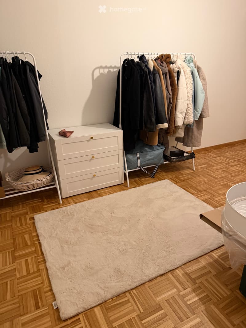 Dressing room with hanging rails, a white dresser, a basket, a rug, and wooden parquet flooring.