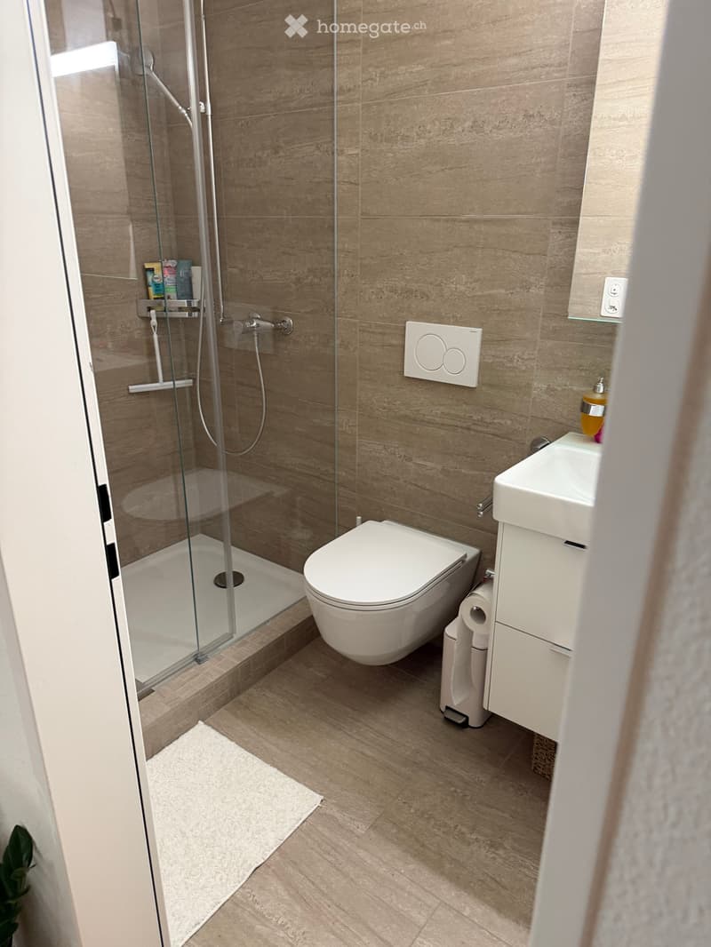 shower, toilet, sink, tiled floor, underfloor heating, cabinet, mirror
