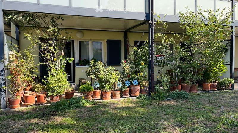 Garden area with potted plants, grass, and a covered patio area with windows and doors leading to the building.