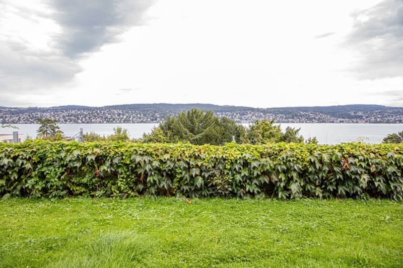 Lush green garden with a dense hedge border, overlooking a scenic cityscape and body of water under a partly cloudy sky.