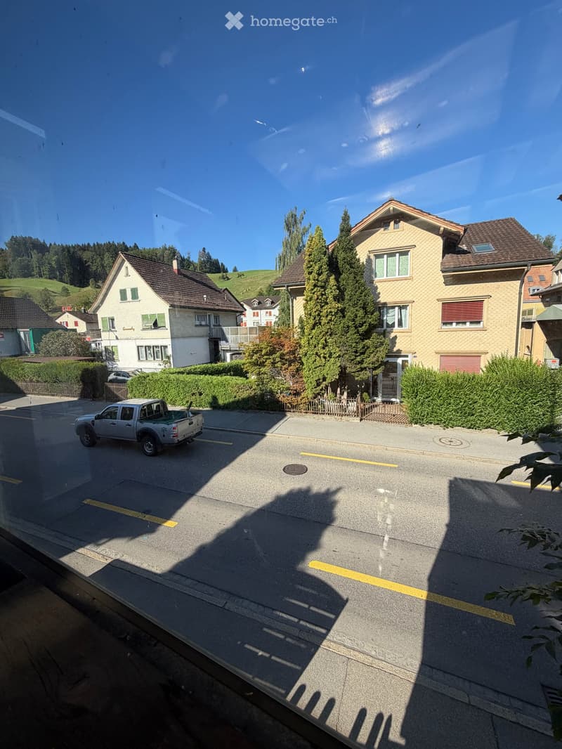 Charmantes 5.5-Zimmer-Einfamilienhaus mit Ladenlokal an der Alpsteinstrasse in Herisau (2)