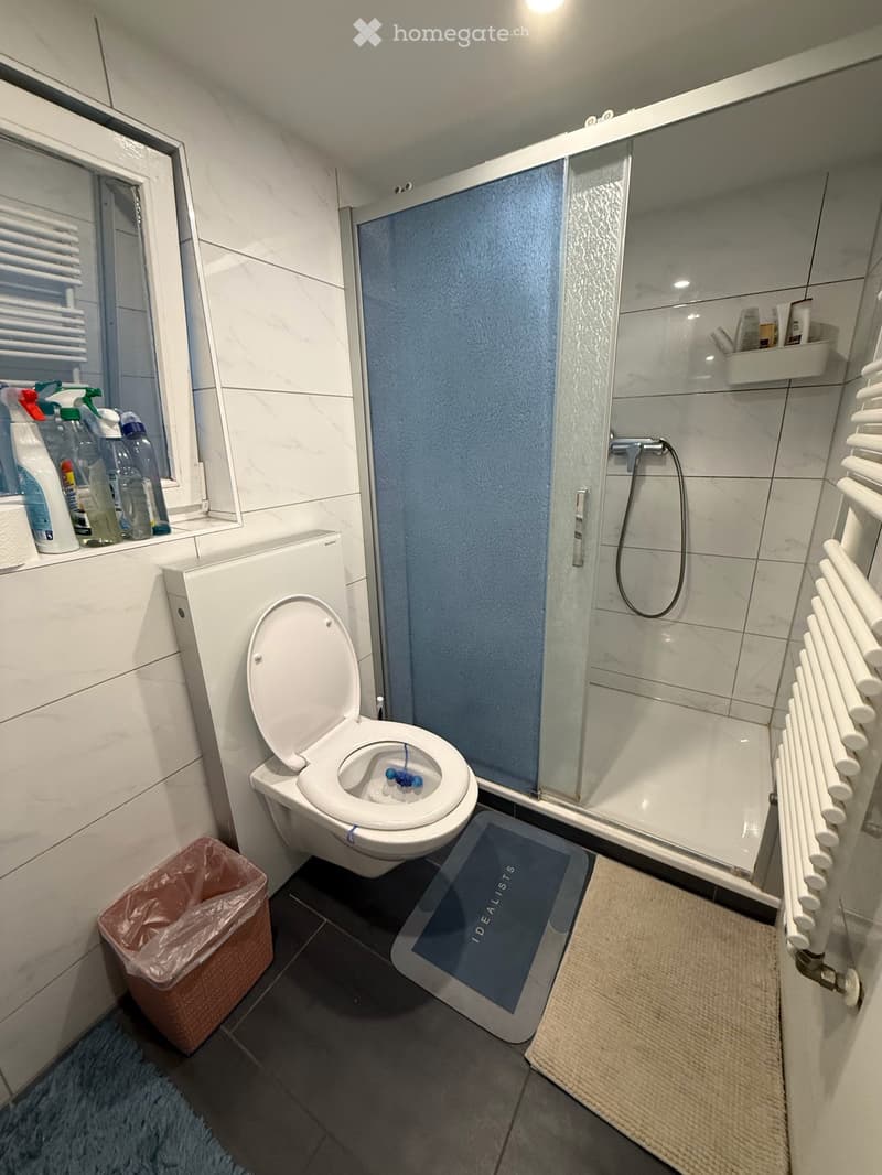 Charmantes 5.5-Zimmer-Einfamilienhaus mit Ladenlokal an der Alpsteinstrasse in Herisau (21)