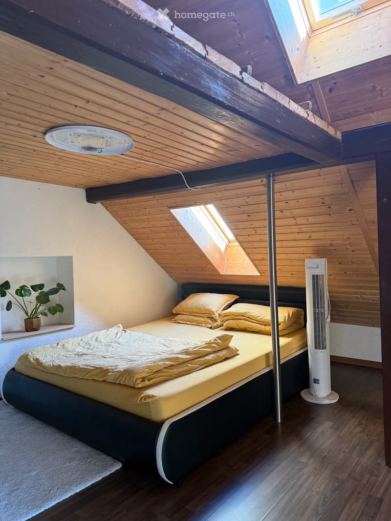 Charmantes 5.5-Zimmer-Einfamilienhaus mit Ladenlokal an der Alpsteinstrasse in Herisau (8)