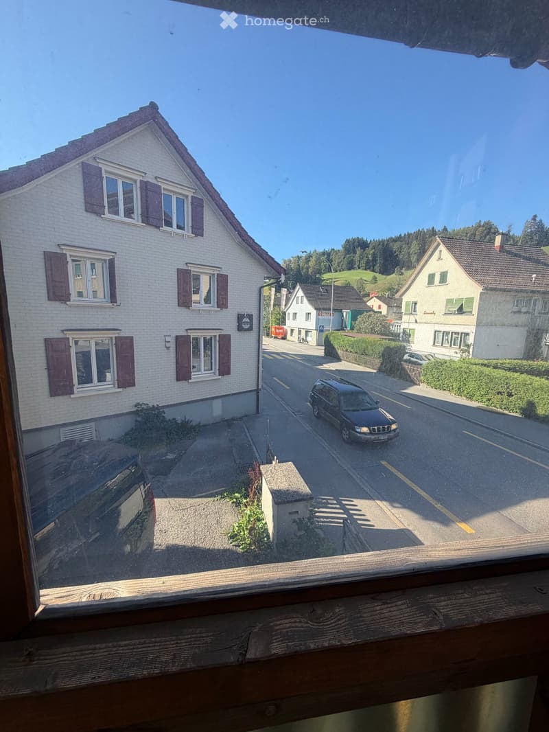 Charmantes 5.5-Zimmer-Einfamilienhaus mit Ladenlokal an der Alpsteinstrasse in Herisau (3)
