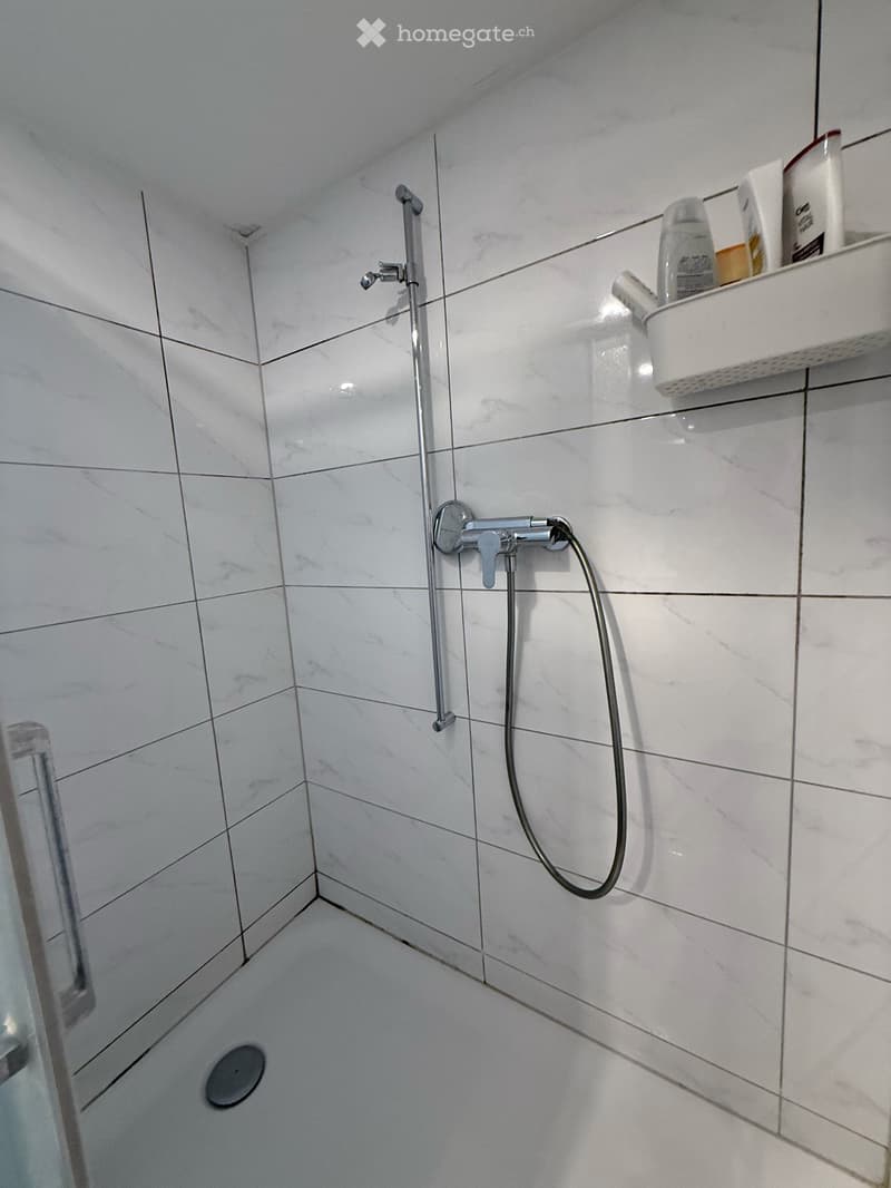 Charmantes 5.5-Zimmer-Einfamilienhaus mit Ladenlokal an der Alpsteinstrasse in Herisau (23)