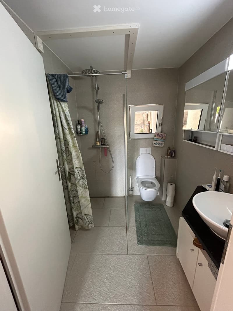 Shower with showerhead, white toilet, sink, towels, shelves with toiletries, green rug
