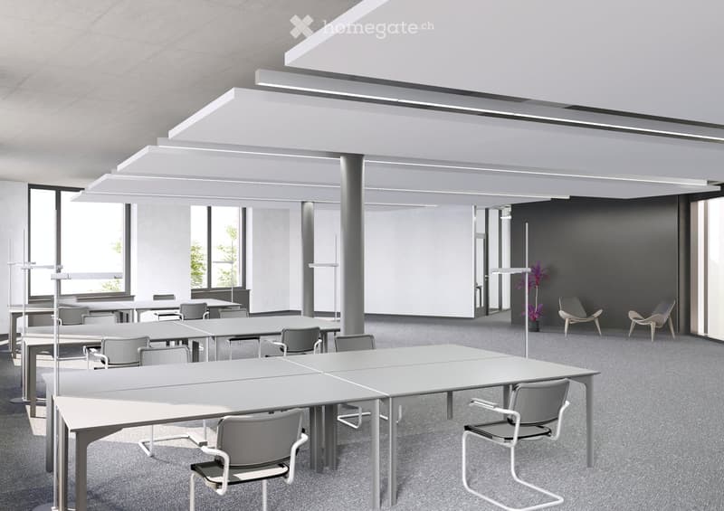 Modern office space with grey tables, chairs, and a potted plant in the corner.