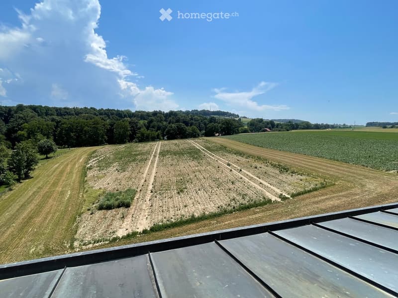 View from a rooftop showing agricultural fields, trees, and a clear blue sky.