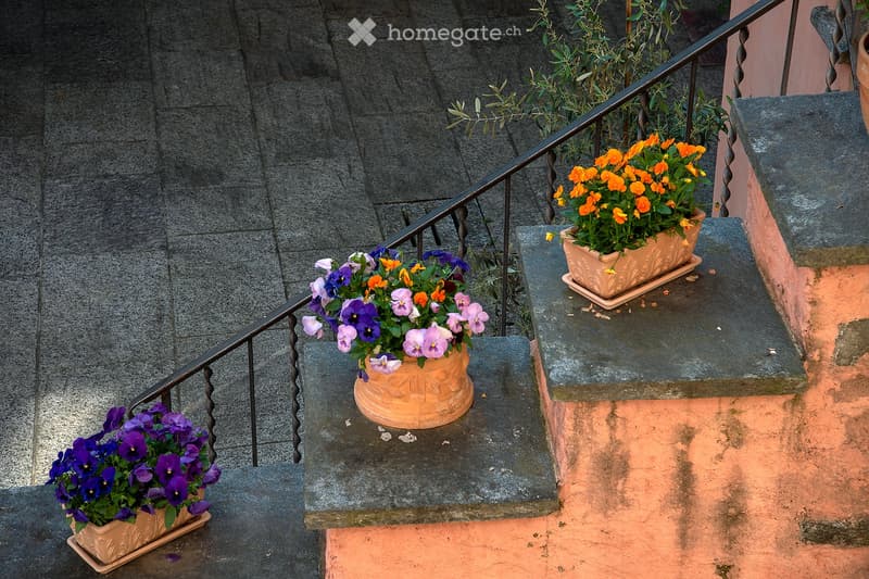 Hübsches möbliertes Studio nahe Lago Maggiore (befristet) (3)