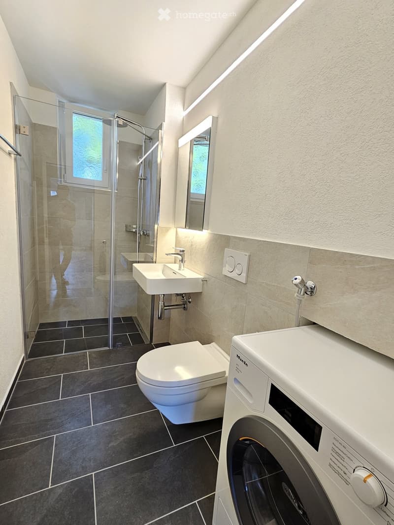 Modern bathroom with dark tiled floor, white toilet, sink, shower with glass enclosure, and built-in washing machine.