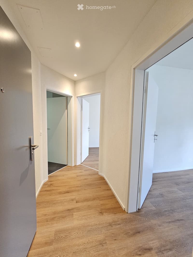 Empty hallway with wooden flooring, white walls, and several doors leading to other rooms.
