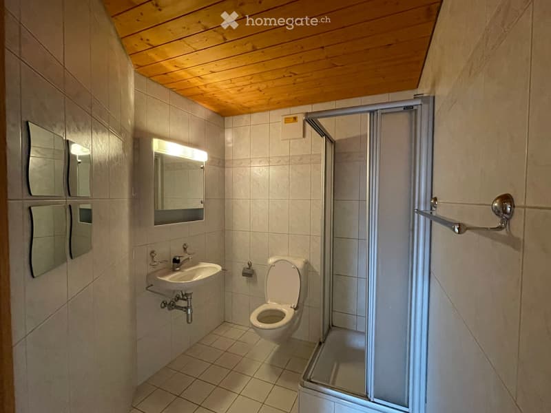 4.5 Zimmer-Dachwohnung in Plaffeien (13)