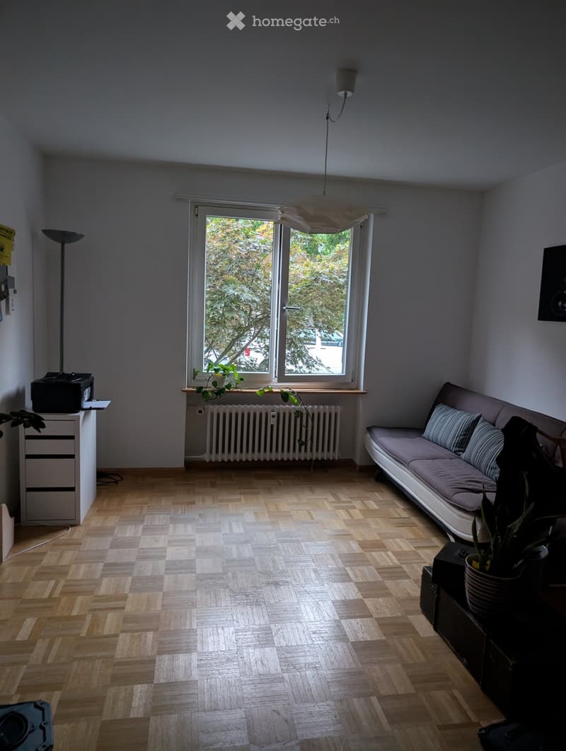 Living room with wooden herringbone flooring, grey sofa with striped cushions, potted plants, radiator, and a window with a view of greenery.