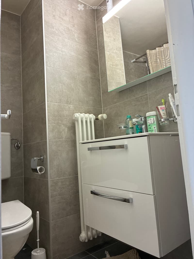 Modern bathroom with grey tiled walls, white sink cabinet, mirror, toilet, radiator, and personal care items on the sink counter.