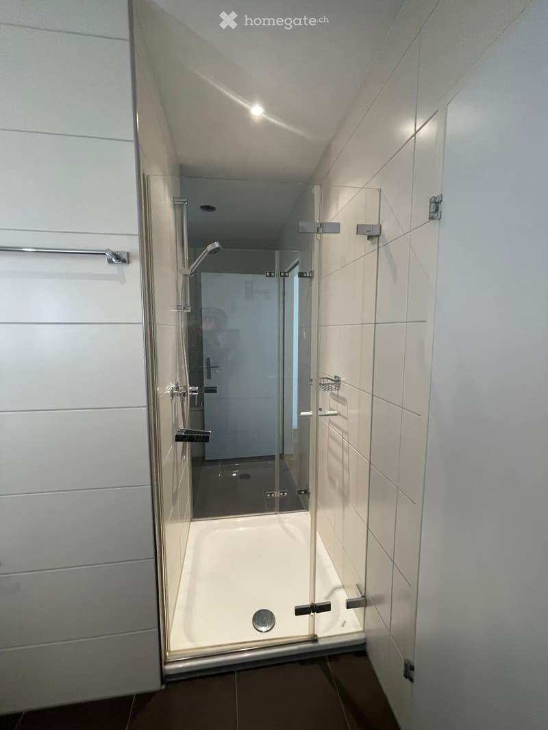 Modern bathroom with a glass-enclosed shower stall, white tiled walls, and a sleek showerhead.