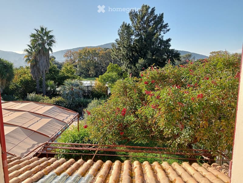 A lush garden area with various trees, including a palm tree, and a tiled roof with a covered seating area.