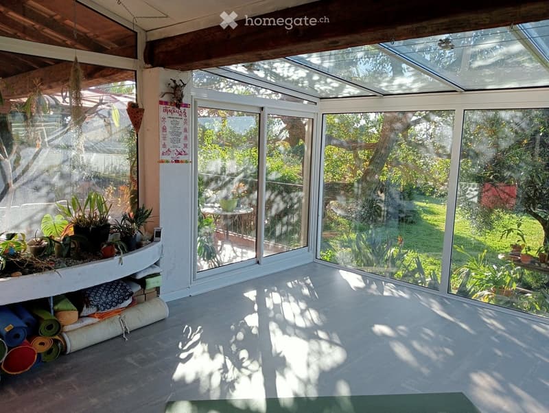 Brightly lit room with large glass walls and a wooden ceiling, featuring yoga mats, potted plants, and a small table with a bowl.
