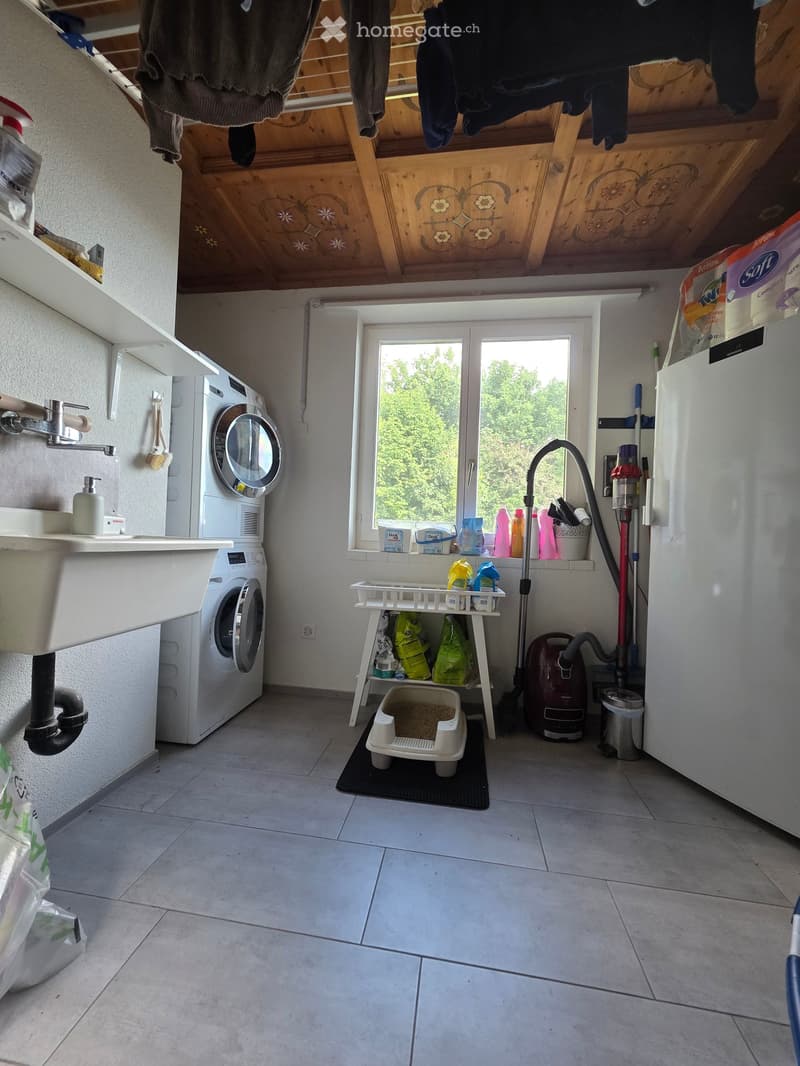 Laundry room with washing machine, sink, cat litter box, vacuum cleaner, and cleaning supplies. Wooden ceiling with decorative carvings, tiled floor, and window with view of greenery.