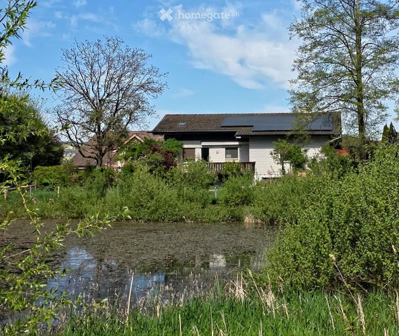 A modern two-story house with solar panels on the roof, surrounded by lush greenery and a small pond in the foreground.