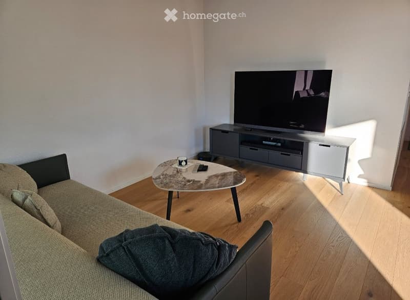 Modern living room with a grey sofa, a round coffee table, a flat-screen TV on a sleek TV stand, and a small side table.