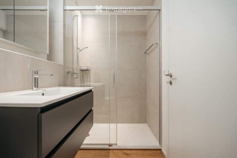 Modern bathroom with a white sink, chrome faucet, large mirror, and a glass-enclosed shower with a handheld showerhead and a built-in seat.