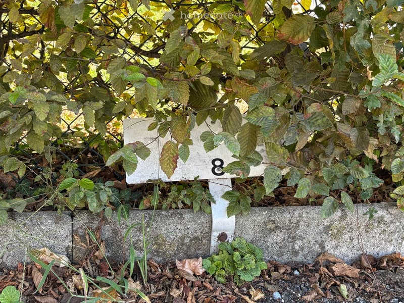 A house number sign partially obscured by foliage and leaves, with a metal fence and concrete base visible.
