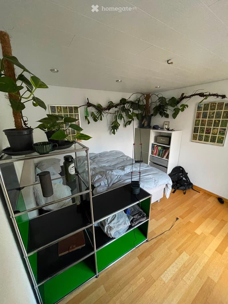 Cozy bedroom with a bed, a metal shelf with various items, a bookshelf, potted plants, and a backpack on the floor.