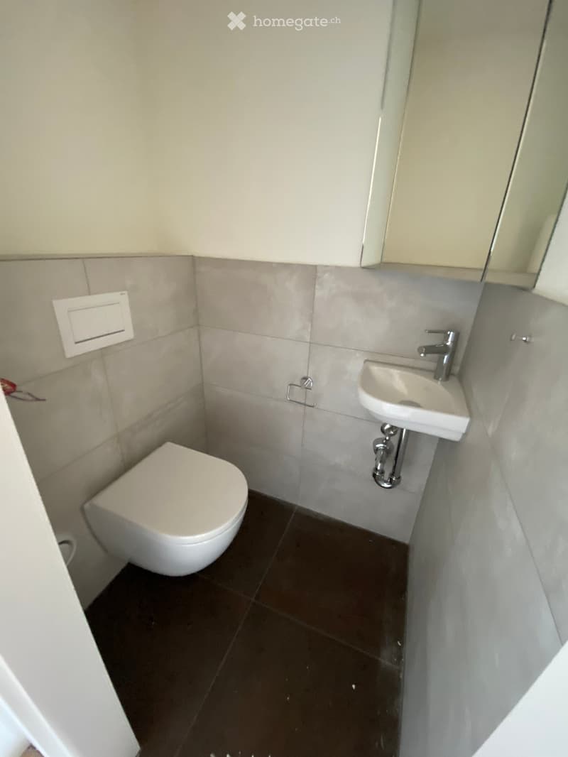 Modern bathroom with a toilet, sink, and mirror. The walls are tiled in light grey, and the floor is dark brown.