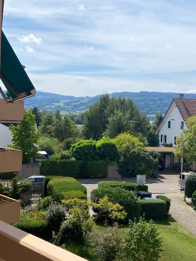 Garden with neatly trimmed hedges, a paved driveway, and a scenic view of a valley and distant mountains.
