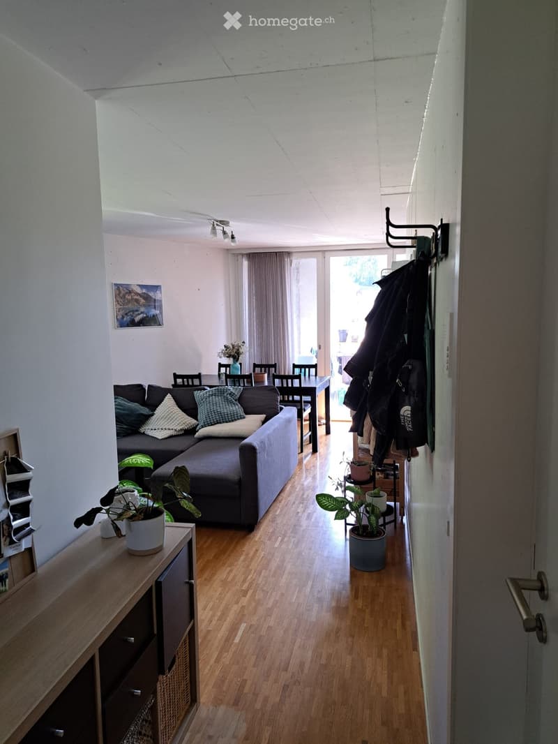 Living room with a grey sectional sofa, coffee table, dining table with chairs, potted plants, and a cabinet. The room has wooden flooring and large windows with curtains.