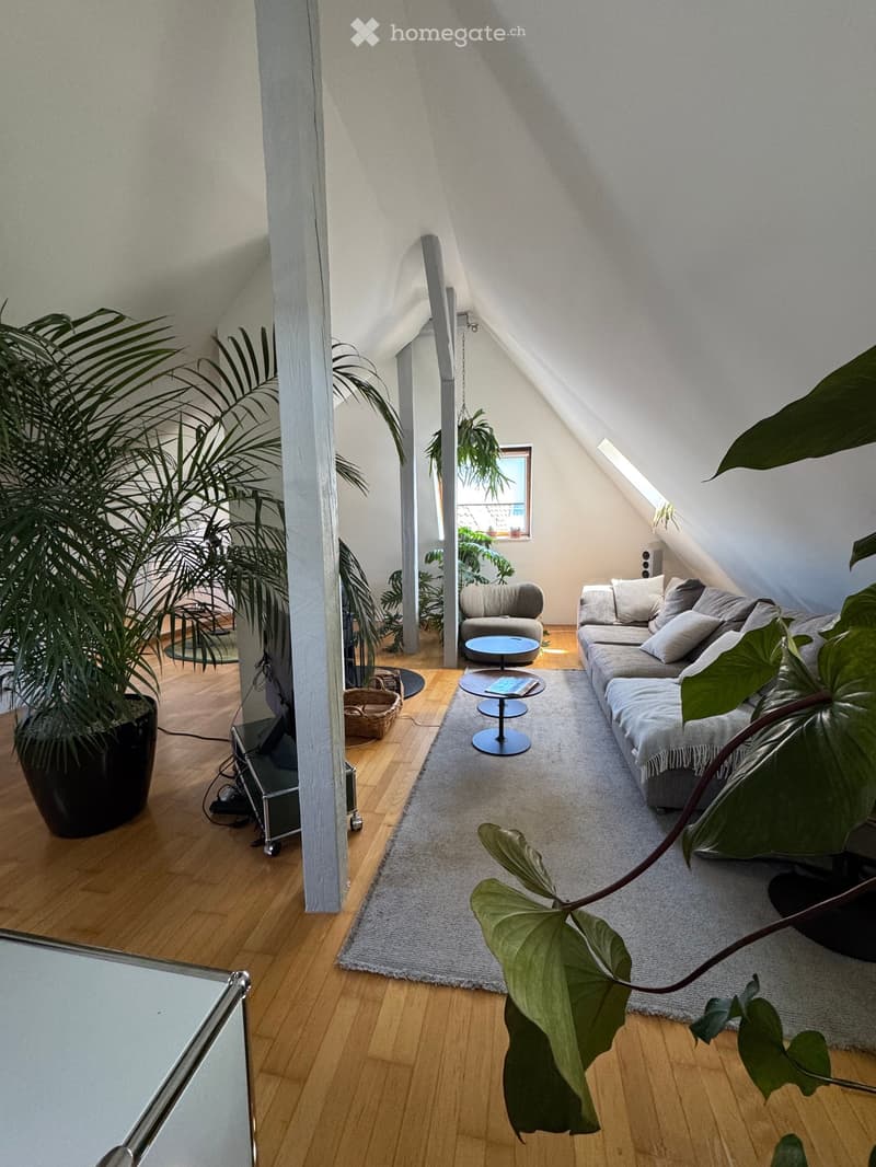 Bright living room with wooden flooring, a grey sofa, a small armchair, coffee tables, and large potted plants.