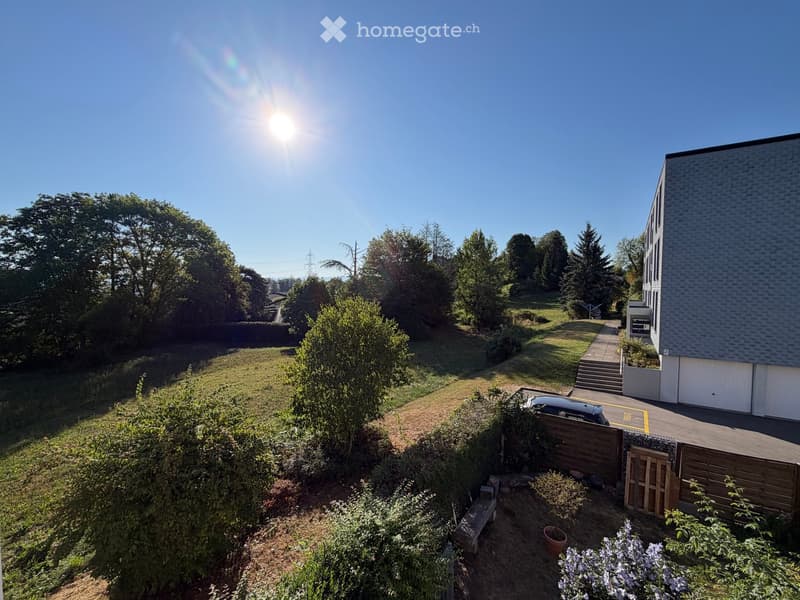 A sunny garden area with a wooden fence, a bench, potted plants, and a pathway leading to a modern house with a garage.