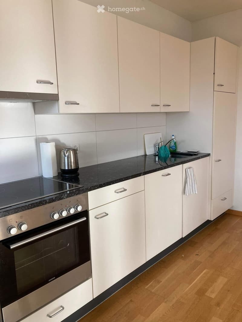 {"type": "Kitchen", "objects": ["oven", "induction stove", "faucet", "sink", "oven mitt", "dish soap", "oven mitt", "oven mitt", "oven mitt", "oven mitt", "oven mitt", "oven mitt", "oven mitt", "oven mitt", "oven mitt", "oven mitt", "oven mitt", "oven mit