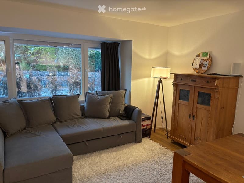 Cozy living room with a grey sectional sofa, wooden coffee table, floor lamp, and a small wooden cabinet with glass doors.