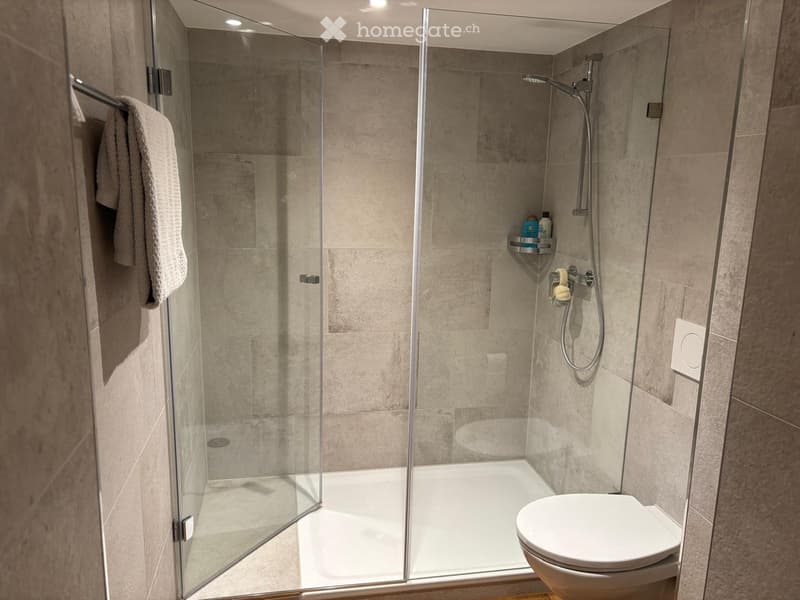 Modern bathroom with a glass-enclosed shower, a toilet, a towel on a rack, and a small shelf holding toiletries.