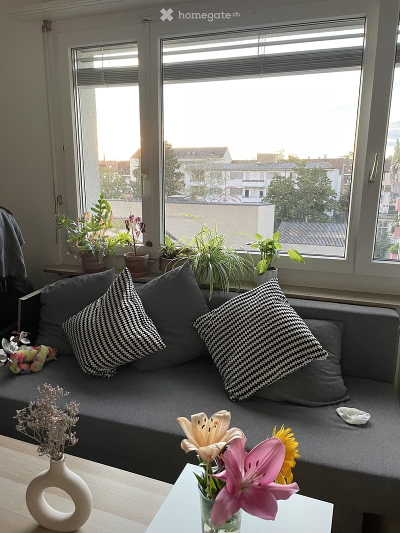 A cozy living room with a grey sofa, patterned cushions, a small table with flowers, and potted plants on the windowsill.