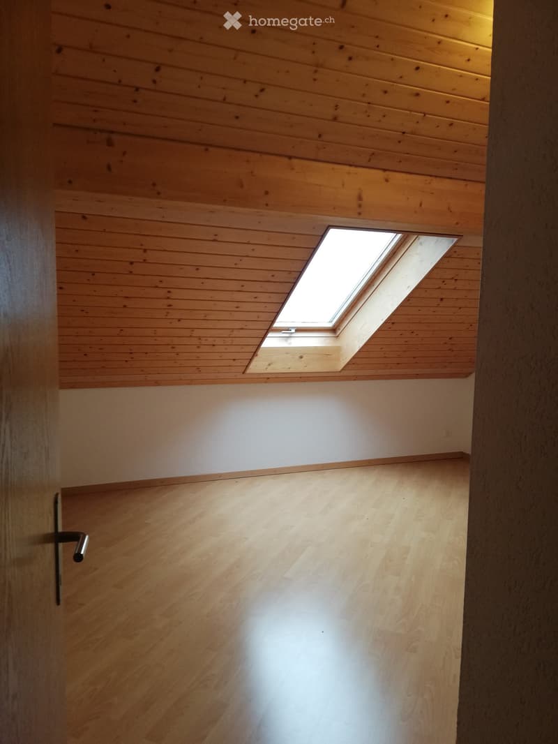 A narrow hallway with wooden walls and ceiling, featuring a skylight window at the top and a door on the left side.